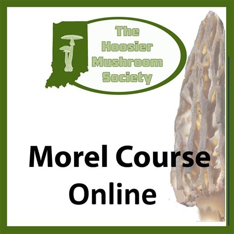 Certification Courses The Hoosier Mushroom Society