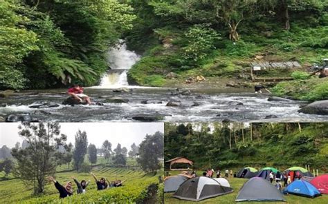 Ciwangun Indah Camp Nikmati Keindahan Curug Kebun Teh Dan Camping Dalam Satu Tempat