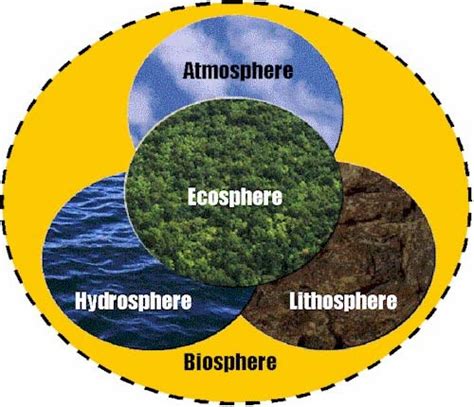 Environmental Science Environment And Its Major Components