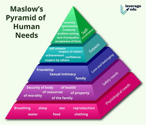 Explore Maslows Hierarchy Of Needs Maslows Hierarchy Of Needs Porn Sex Picture