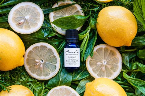 Amazing Health Benefits Of Lemon Essential Oil Marvo＆co