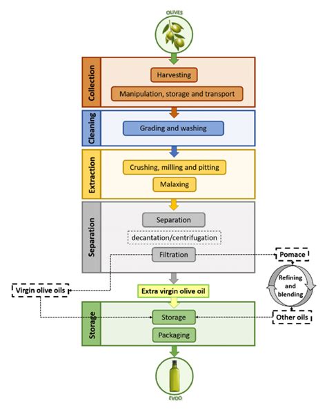 If you watch this video on the modern canola oil making process, and you'll see exactly what i mean. Summary of the oil extraction process focused on extra virgin olive oil... | Download Scientific ...