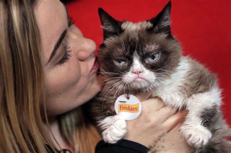 Grumpy Cat Dead Internet Famous Tardar Sauce Who Inspired Memes And A Movie Dies At 7