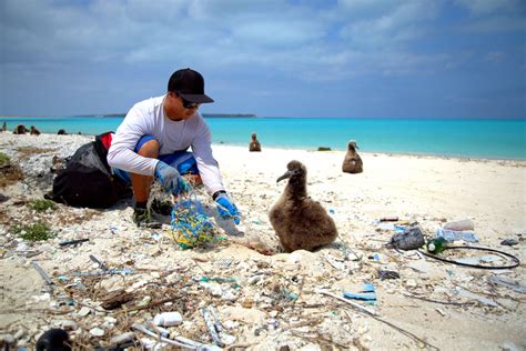 Marine Debris Removal In The Northwestern Hawaiian Islands