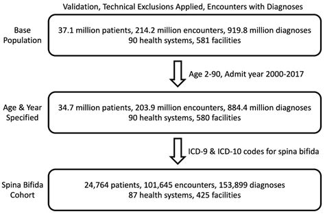 Estimating The Prevalence Of Neurosurgical Interventions In Adults With Spina Bifida Using The