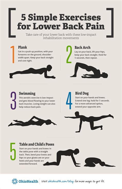 Super Simple Exercises For Lower Back Pain Infographic Artofit