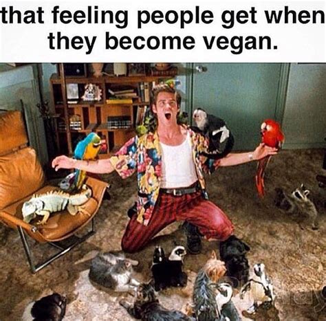 View Vegan Memes Vegan Jokes Background Liveit Loveit Yourlife