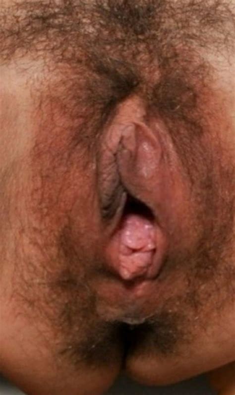 wide open hairy meaty pussy 175 pics xhamster