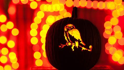 Halloween Owl Wallpapers Wallpaperboat