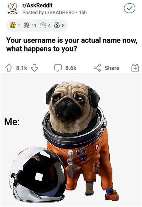 Dog With A Space Career I Love It Rmemes