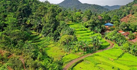 10 Foto Pemandangan Alam Yang Jadi Bukti Keindahan Alam Indonesia