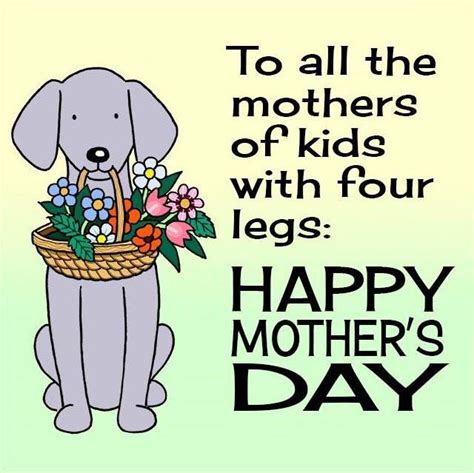 Mothers Of Fur Babies Dog Mothers Day Happy Mothers Happy Mother S Day