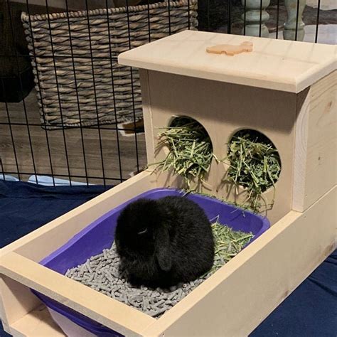 Rabbit Hay Feeder With Litter Box Etsy