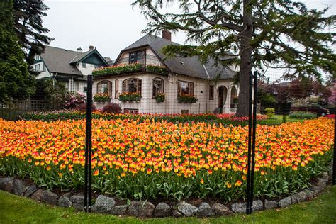 11 Stunning Photos Of The Beach Drive Tulip House In Oak Bay Bc