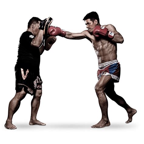Mma Fight Png File Png All Png All