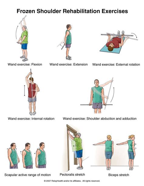 Rotator Cuff Therapy Exercises Muscle And Strength Pinterest