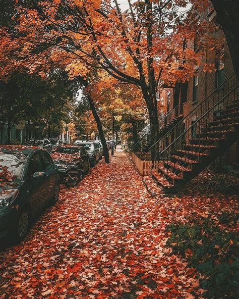 Fall Photo Challenge 30 Fall Photography Ideas To Give Your Instagram