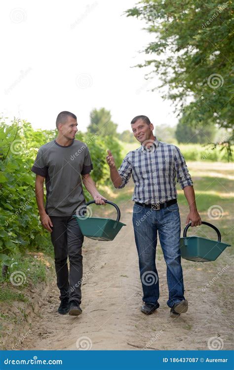 Two Men Walking Through Vineyard Stock Image Image Of Viticulture