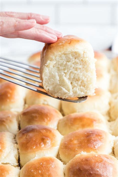 Old Fashioned Yeast Rolls A 100 Year Old Recipe Recipe Yeast