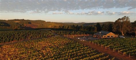 Visit The Wineries Of The Mcminnville Foothills Mcminnville Ava