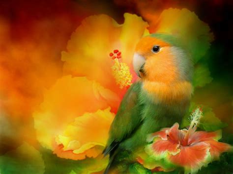 A safe place for anyone to download free screensavers without adware, toolbars and viruses. 50+ Free Online Wallpapers Without Downloading on ...