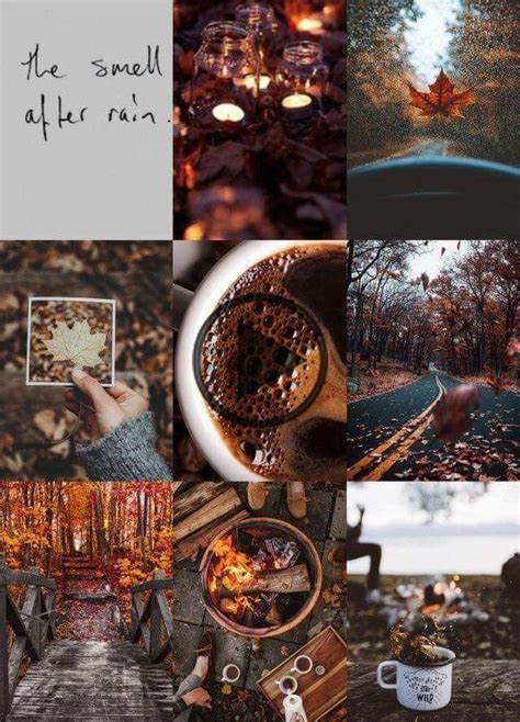 Fall Moodboard In 2020 Autumn Aesthetic Autumn Photography Fall