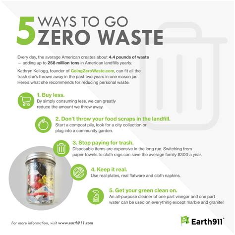 Infographic Ways To Go Zero Waste
