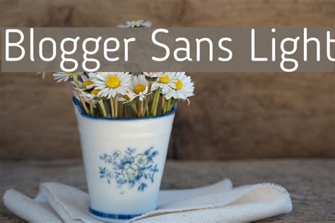 Blogger Sans Light Font