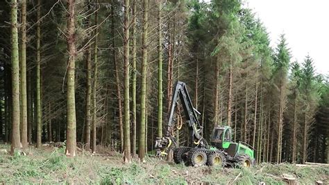 Clearing Forestry With Roundwood Forestry And Timber Services Youtube