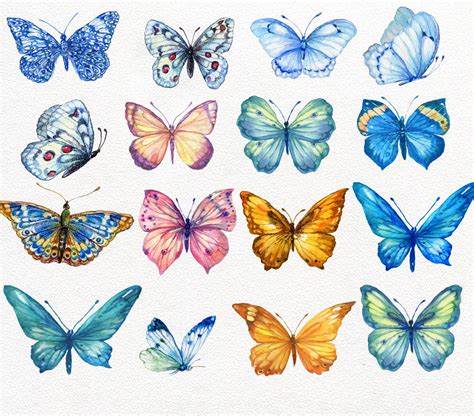Butterfly Collection Watercolor Doodles De Flores Arte De Mariposa