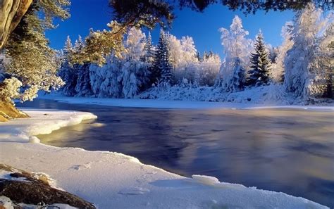 Snow Trees And Frozen River Wallpaper Landscape Wallpaper Winter