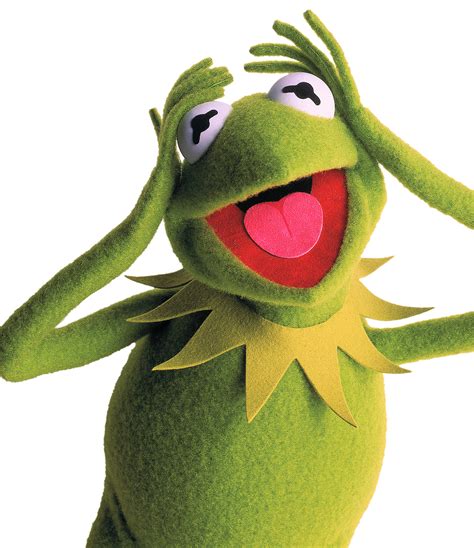 Kermit The Frog Muppet Wiki