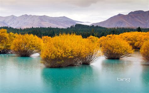 Free Download Bing Wallpapers Daily March 2013 1600x1000 For Your