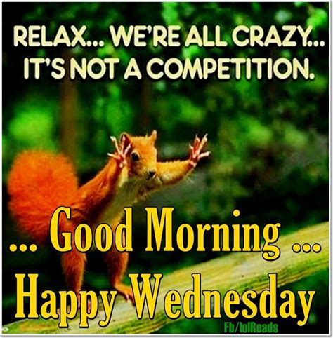 Top 18 Happy Wednesday Memes Wednesday Humor Wednesday Memes Funny