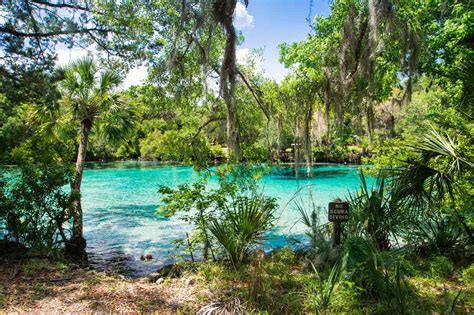 Orlando Area Natural Springs To Visit