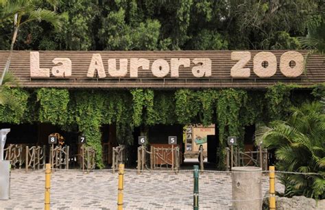 El Zoológico La Aurora Le Dice Adiós A Las Jaulas Y Le Da La Bienvenida