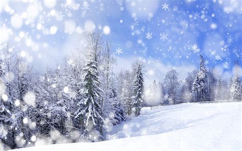 Winter Snow Desktop Wallpaper Photos