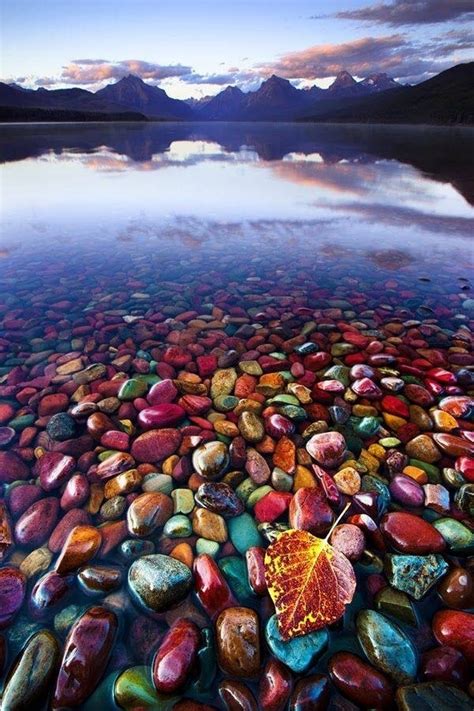 Pebble Shore Lake Glacier National Park Montana Photorator