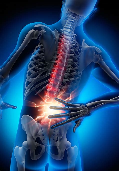 Back pain is divided into neck pain (cervical), middle back pain (thoracic), lower back pain (lumbar) or coccydynia (tailbone or sacral pain). Treatment for Lower Back Pain | Sutton Osteopath | Claire ...