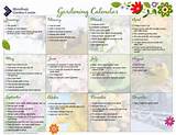 Vegetable Garden Maintenance Schedule
