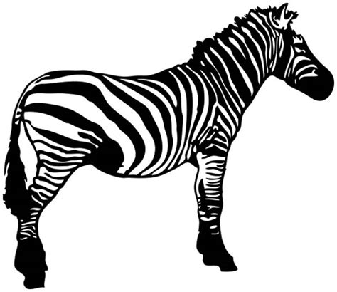 Free Zebra Clip Art Clipart 2 Wikiclipart