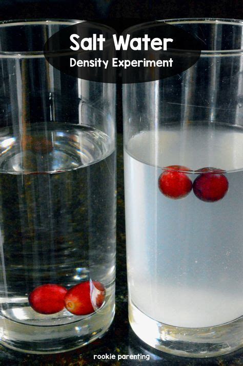 Salt Water Density Experiment Sink Or Float Density Experiment Cool