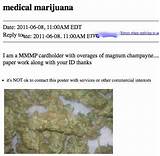 Michigan Medical Marijuana Program Photos