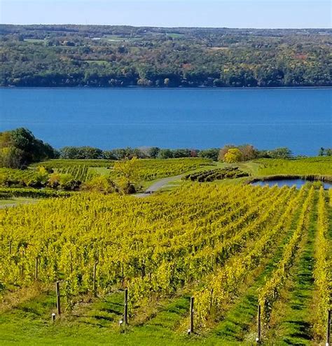 Wine Country The Finger Lakes Tips From Town