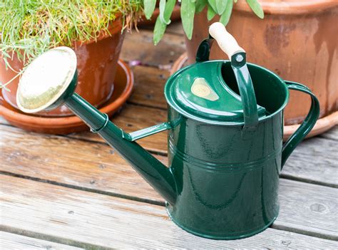 Große auswahl top marken holzschaukeln bei kaufland.de entdecken & sparen jetzt bestellen! Gießkanne für den Garten, 5 Liter. | Jetzt online bestellen