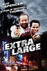 Detective Extralarge (TV Series 1991-1993) - Posters — The Movie ...