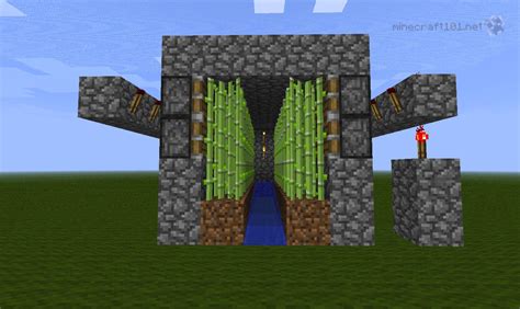 Sugar cane plants can be found growing. Farming Sugar Cane - Minecraft 101