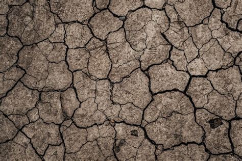 Dry Cracked Earth Parched Land Earth Dirt Texture Background Of Brown