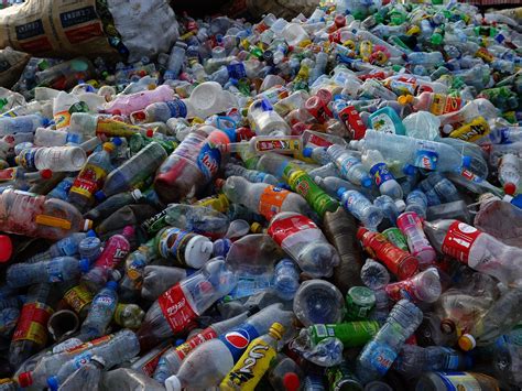 Bacteria Able To Eat Plastic Bottles Discovered By Scientists The