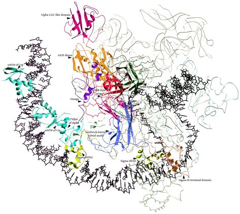 Research Highlights Of The Aravind Group On The Origins Of The